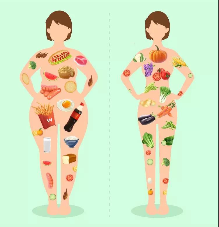 胖子和瘦子的饮食结构差异图,看看你是哪一种?